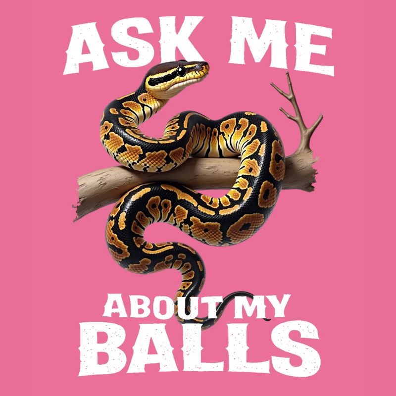 Python roi Serpents Amateurs de terrarium Python