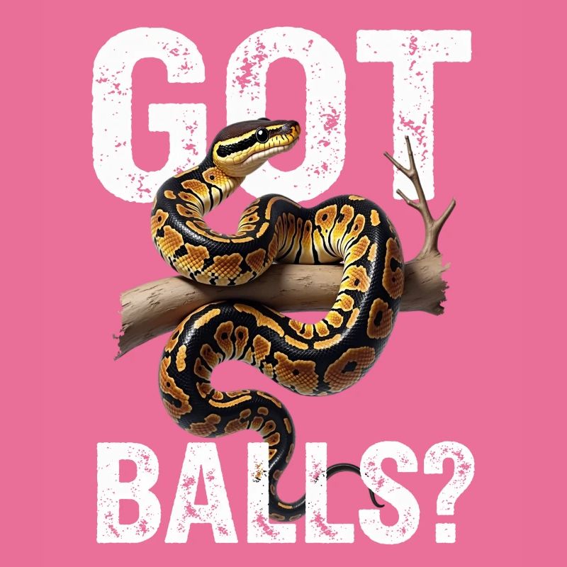 Python roi Serpents Amateurs de terrarium Python