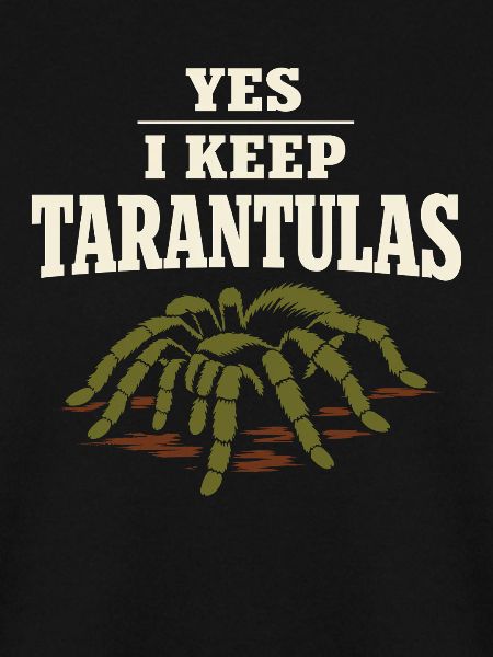 Tarantula Tarantula Holder Spider Owner
