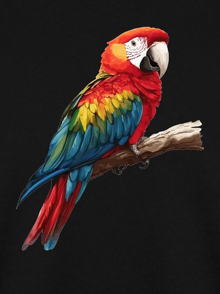 Macaw's Era