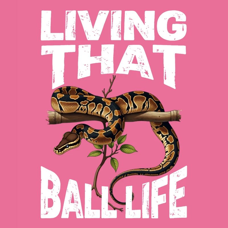 Königspython Schlangen Liebhaber Terrarium Python