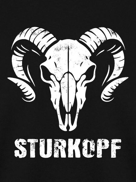 Sturkopf | Widderkopf Schädel mit Hörnern