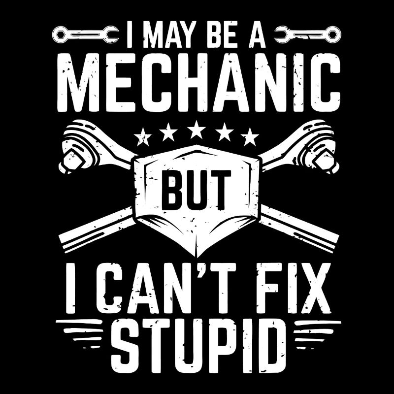 I May Be a Mechanic But I Can't Fix Stupid