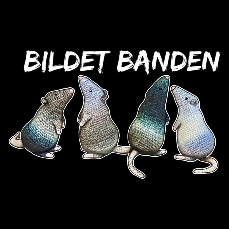Ratten - Bildet Banden