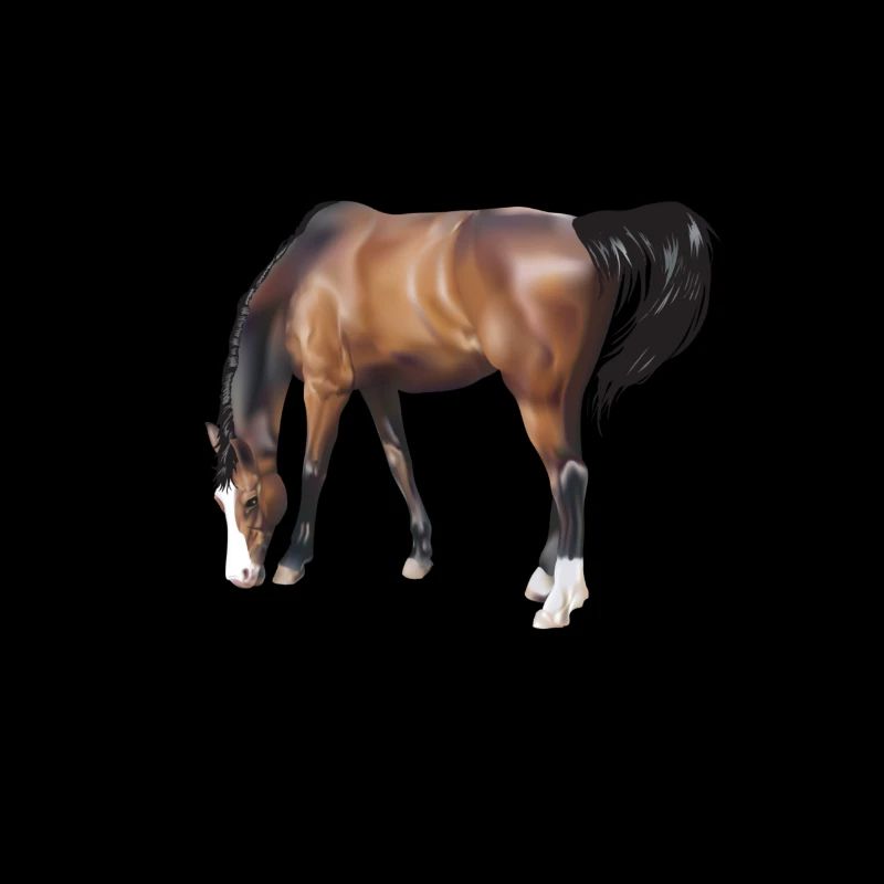 Pferde
