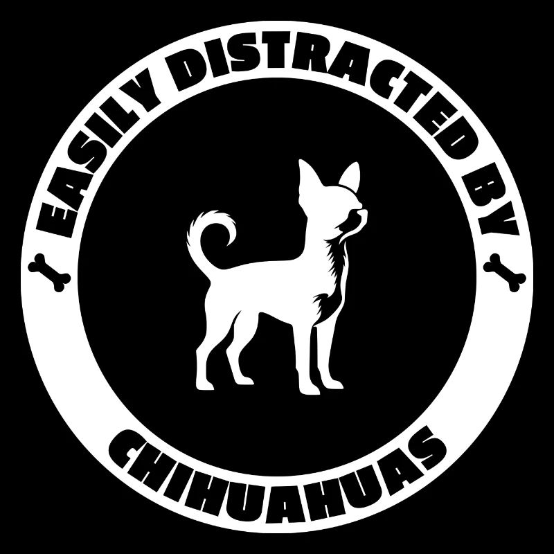 Easily distracted by Chihuahuas