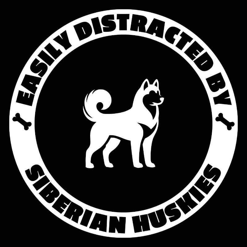 Facilement distrait par les huskies de Sibérie
