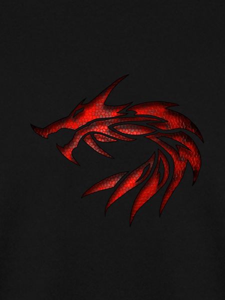 Drachen Stamm 1a