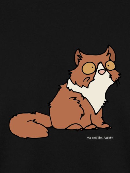 Cat persian