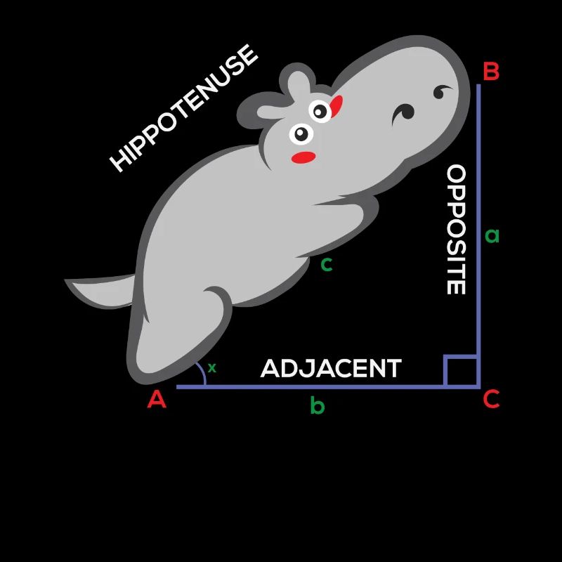 Hippotenuse Funny Math Teacher Gift