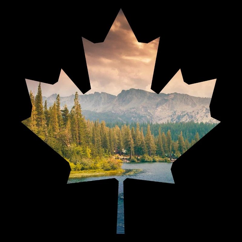 Ahronblatt Canada Nature Forêt Lac Montagnes Camping