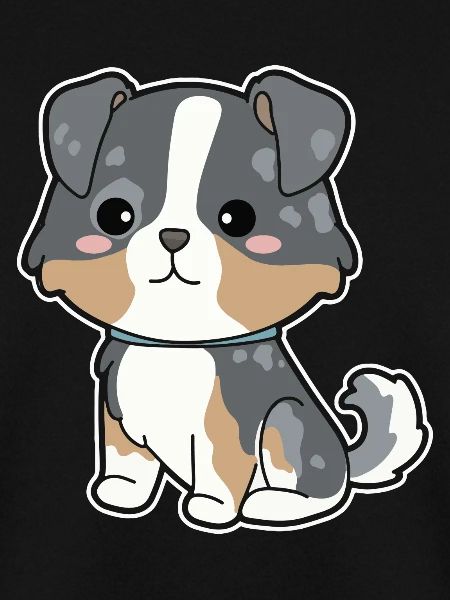 Australian Shepherd