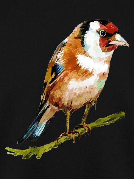 Bunter Vogel