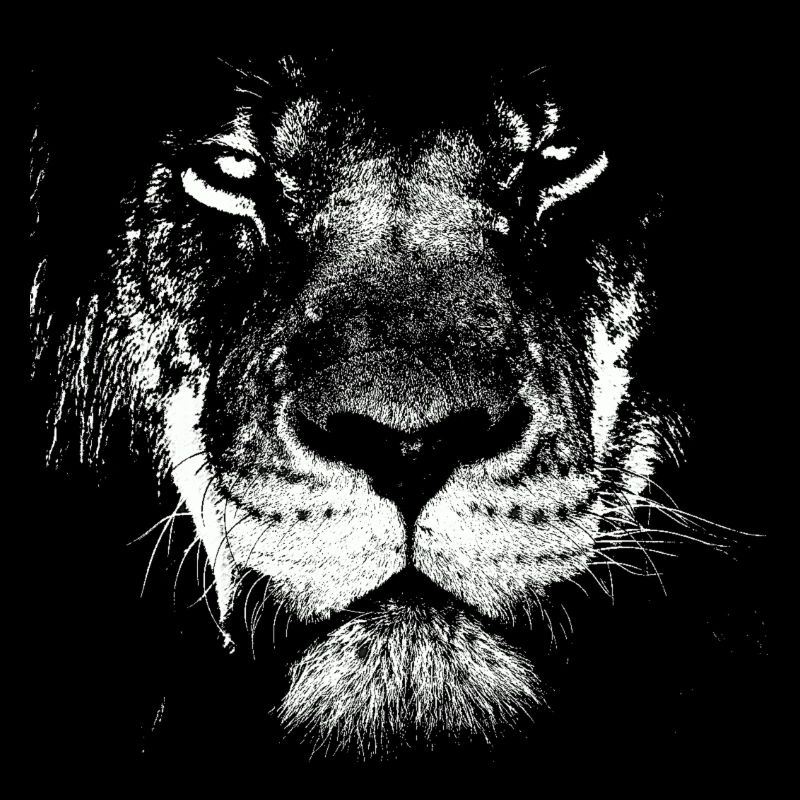 Lionhead