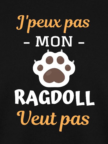 Race de chat ragdoll