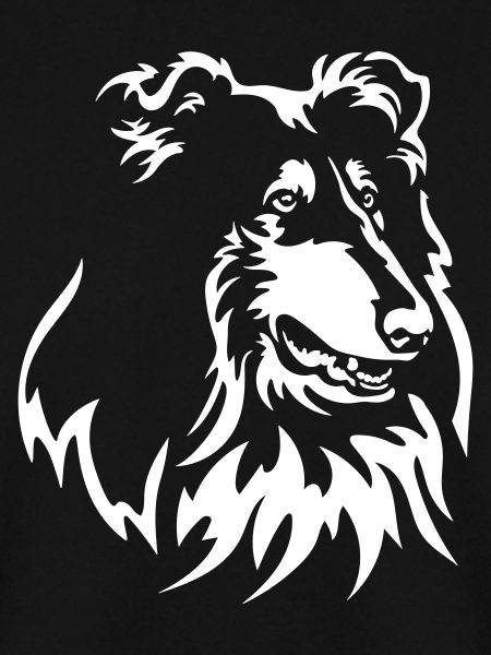 Collie Head "Black Edition"