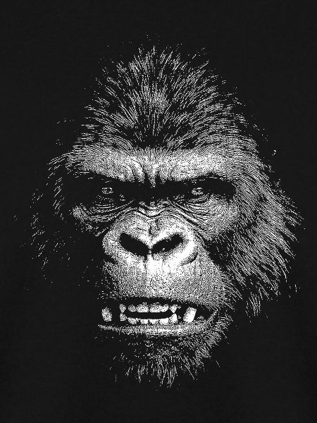 Gorilla