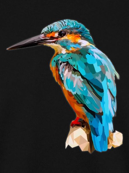 kingfisher