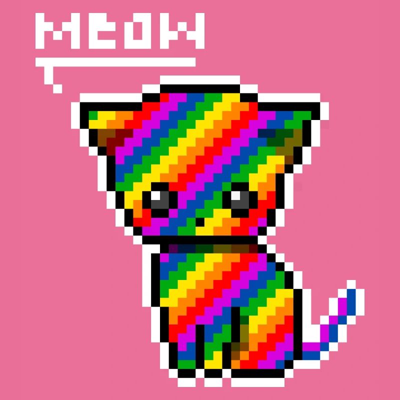 rainbow cat