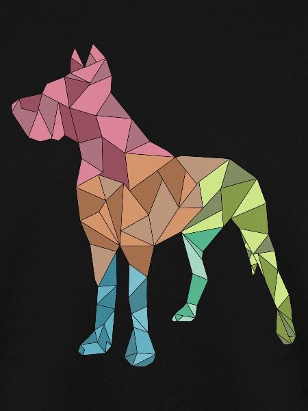 GROSSER DANE, geometrisch, bunt