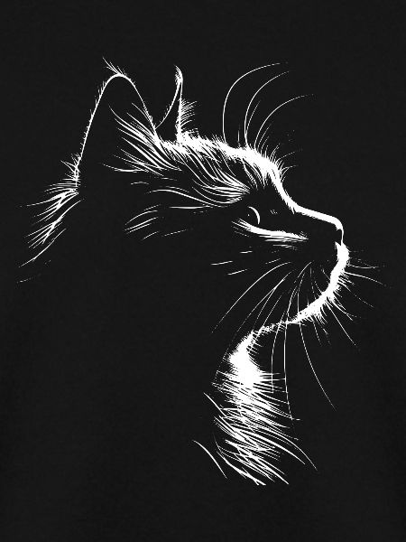 Katze, Katzenmotiv, Katzengesicht
