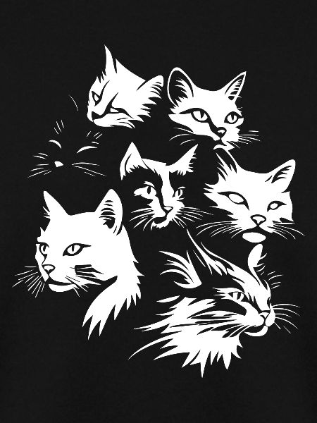 Katzen Team