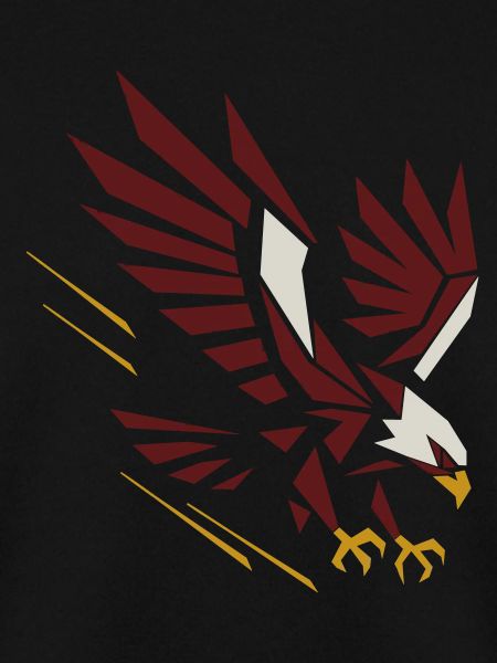 Geometric Eagle on Attack