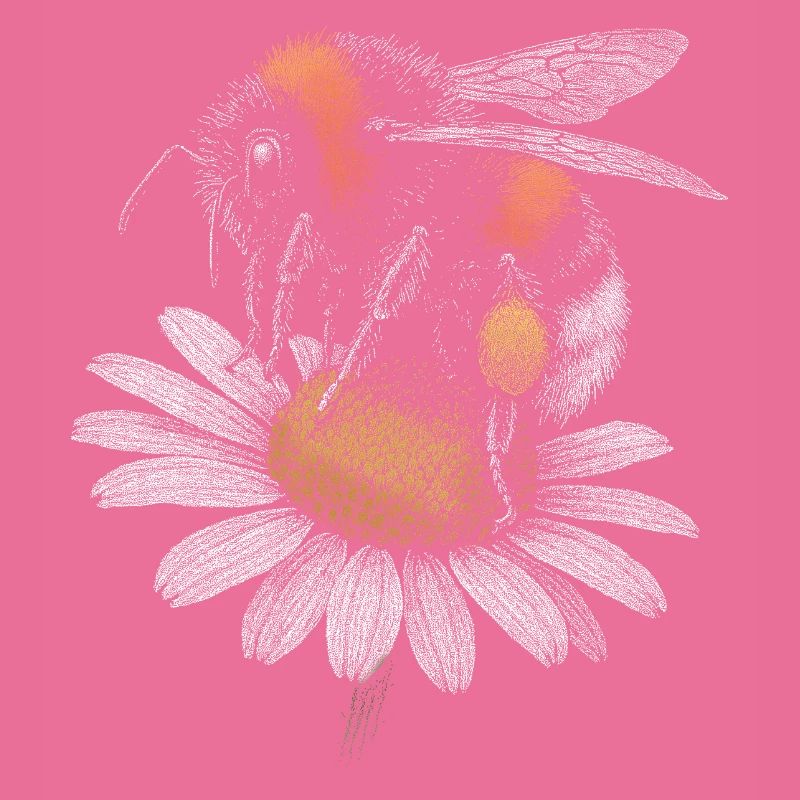 Hummel