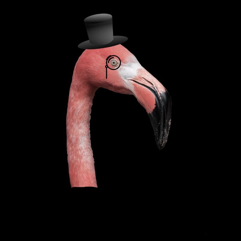 Flamingo Sir