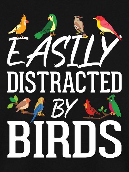 Easily Distracted by Birds