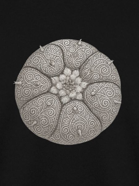 Peyote Art