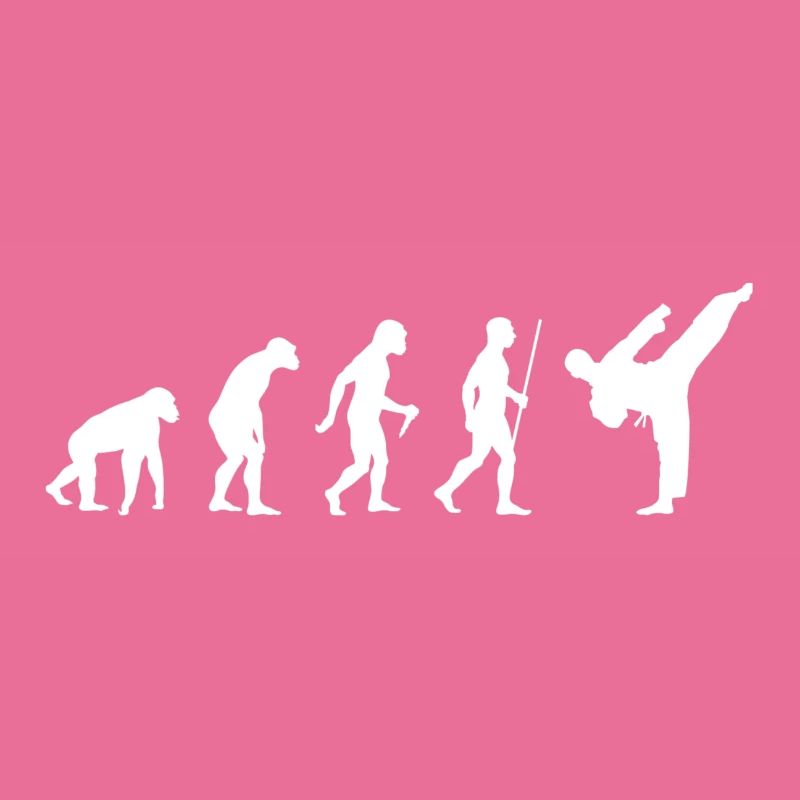 2563 Evolution Karaté