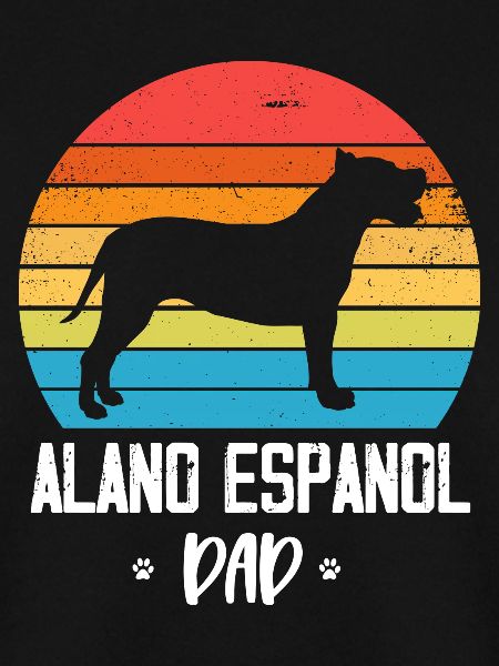 Alano Espanol