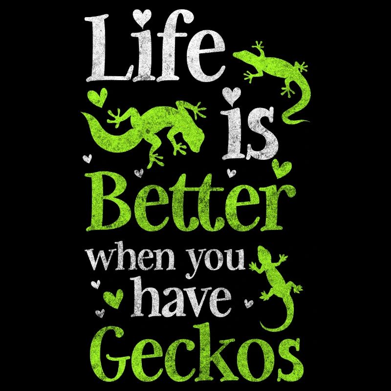 Geckos Echse Terrarium