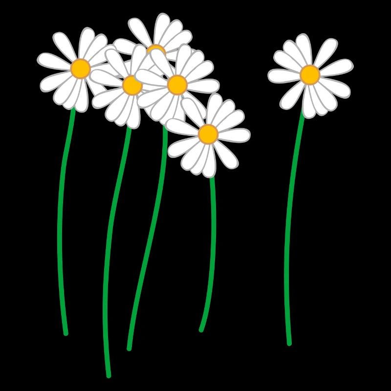 Margeriten