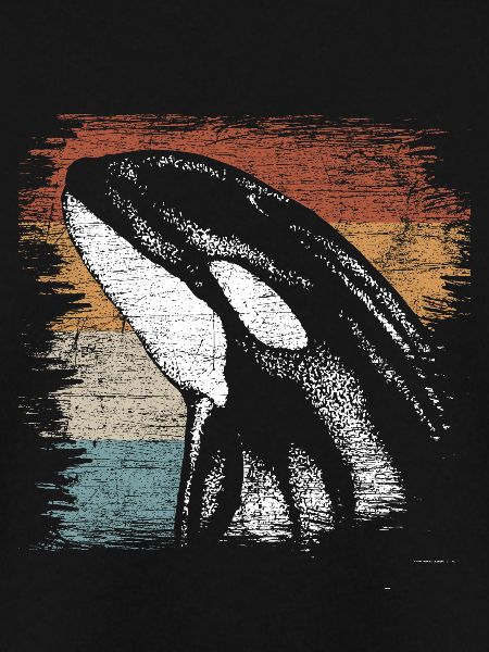 killer whale