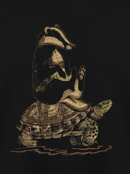 Badger and turtle