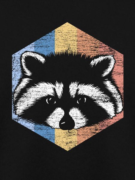 racoon