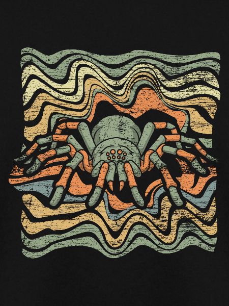 Spinne