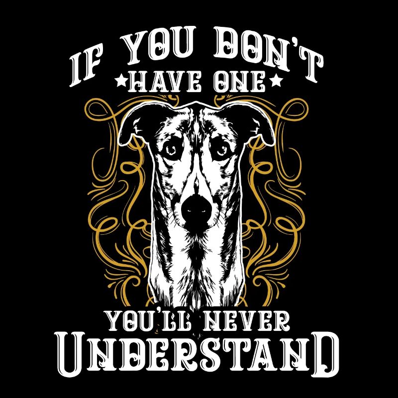 greyhound