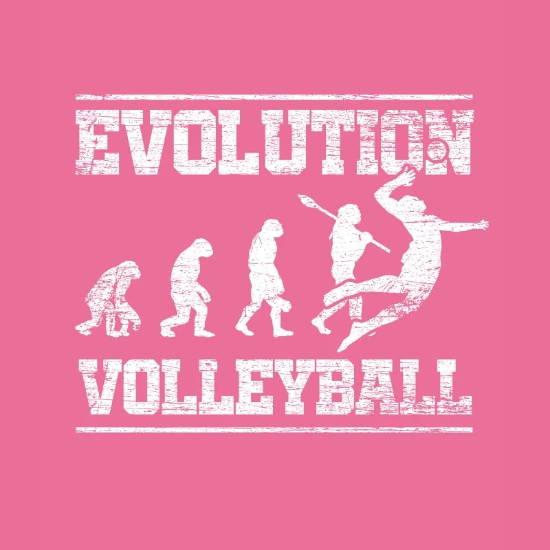 Evolution Volleyball