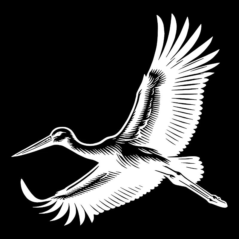Elegant stork bird in flight