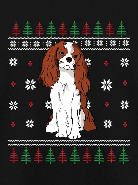Cavalier King Charles Spaniel