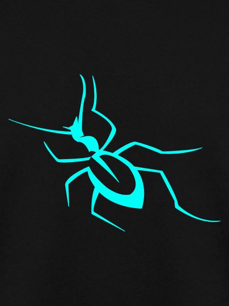 Insecte