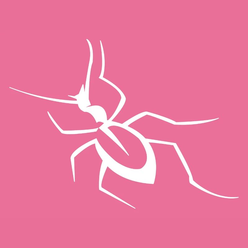 Insecte