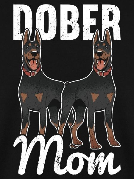 Dobermann Hund Dobermann