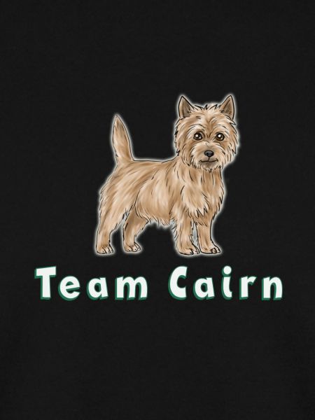 Team Cairn