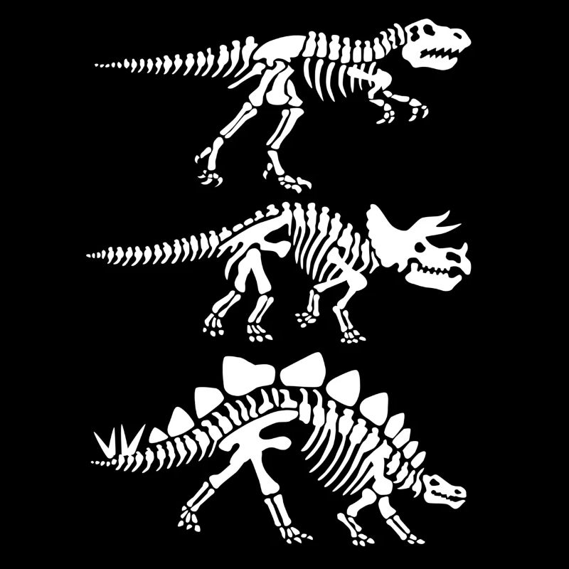 Dinosaur skeleton anatomy