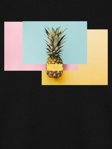 Bunte Ananas / Geschenk Idee