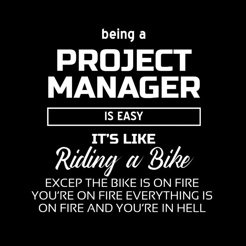 Project Manager